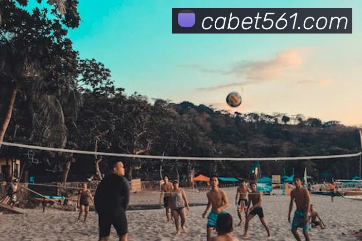 ca亚洲城平台生态图